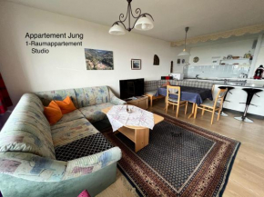 Ein-Raum Appartement Jung Freudenstadt-Kniebis